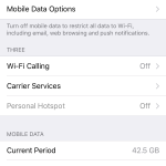 Cellular/Mobile Data settings