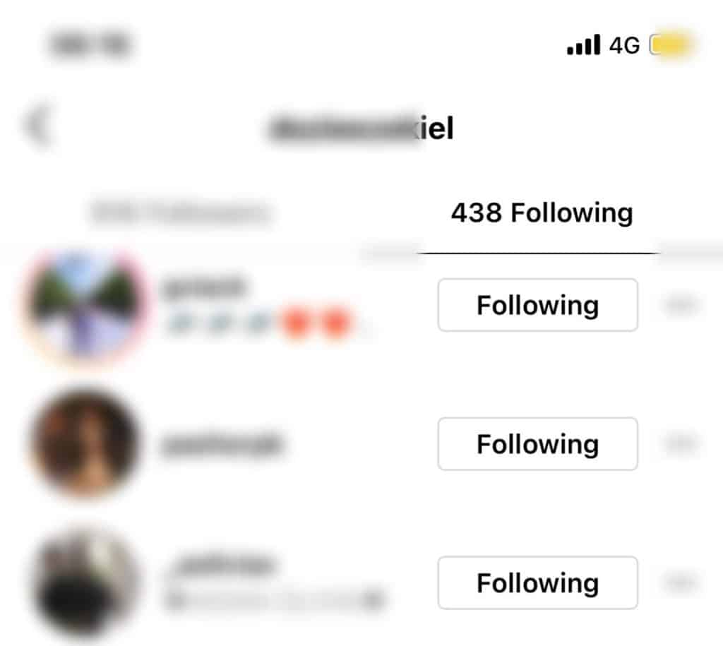 instagram following list