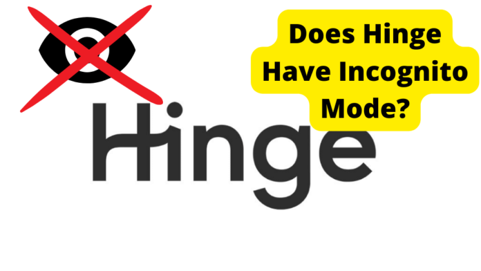 does hinge have incognito mode