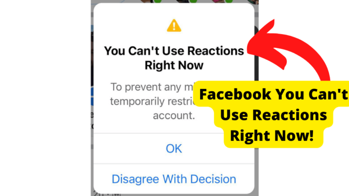 facebook you cant use reactions right now