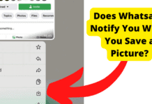 Does Whatsapp Notify When You Save a Picture? does whatsapp notify when you save a picture
