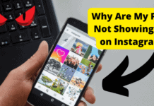 Why Are My Posts Not Showing Up on Instagram? Here’s The Fix instagram not showing all my posts