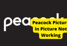 Peacock Picture in Picture Android peacock picture in picture