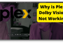 Plex Dolby Vision (Does it Support it?) plex dolby vision not working
