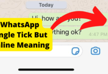 Whatsapp Single Tick But Online Meaning whatsapp single tick but online