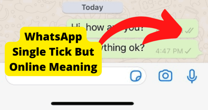 whatsapp single tick but online