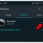 whatsapp status