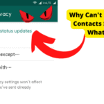 why can’t i see all my contacts status on whatsApp