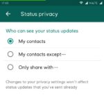 why cant i see all my contacts status on whatsapp