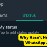 why hasn’t he been on whatsapp all day