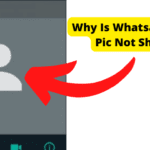 why is whatsapp profile pic not showing