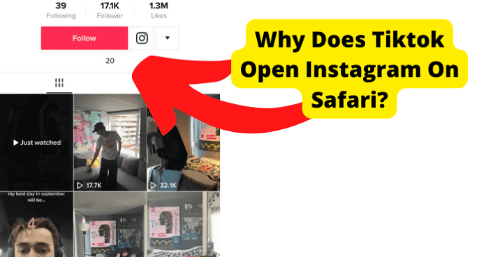 tiktok opening instagram in safari