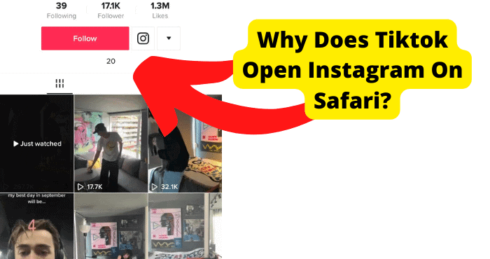 tiktok opening instagram in safari