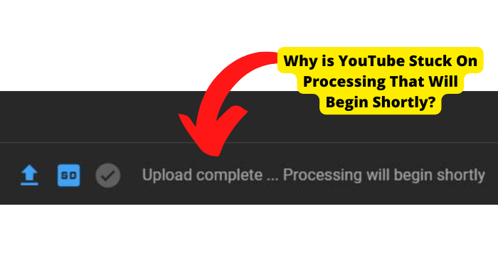 youtube video will begin processing shortly