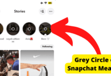 What Does The Grey Circle Mean on Snapchat? Grey circle around snapchat story