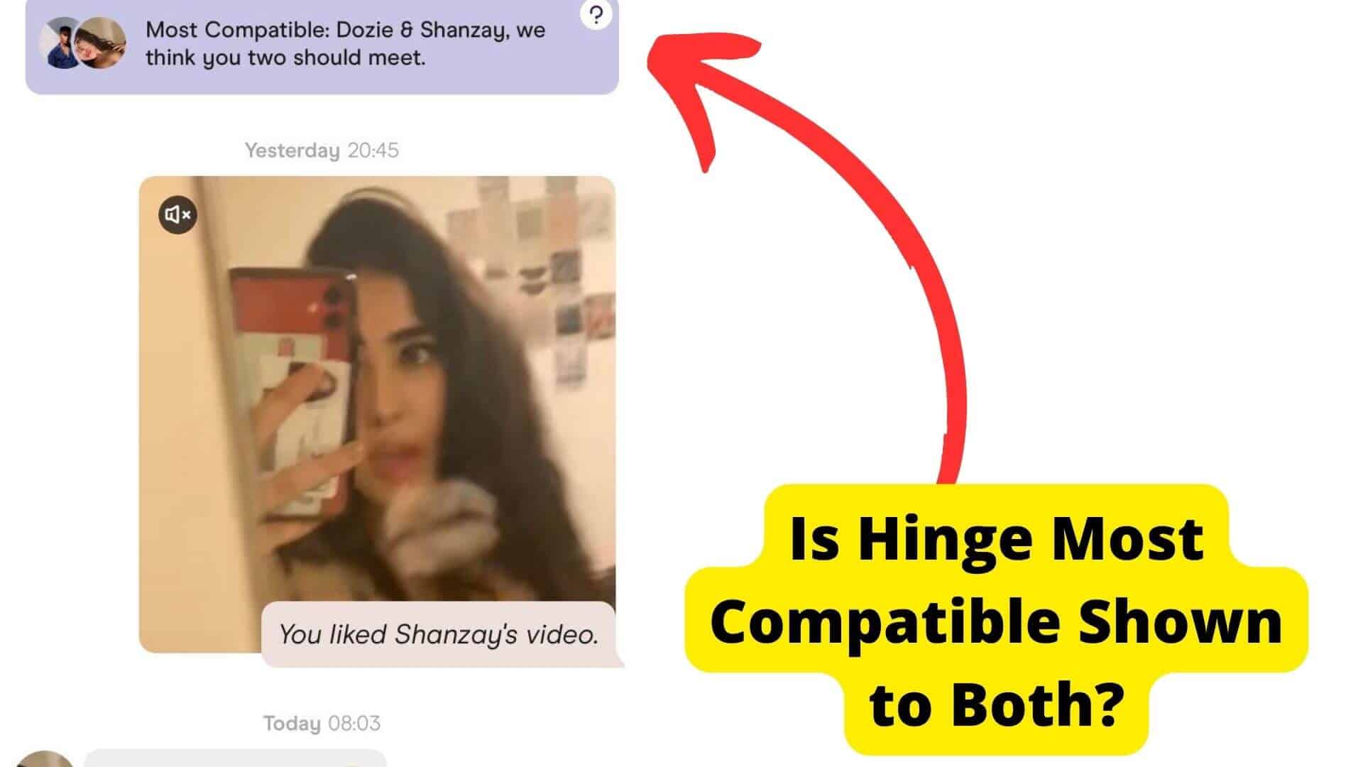 hinge most compatible shown to both