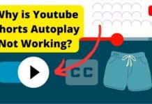 Youtube Shorts Autoplay Not Working? Here’s Why! youtube shorts autoplay not working