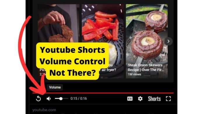 youtube shorts volume control not there