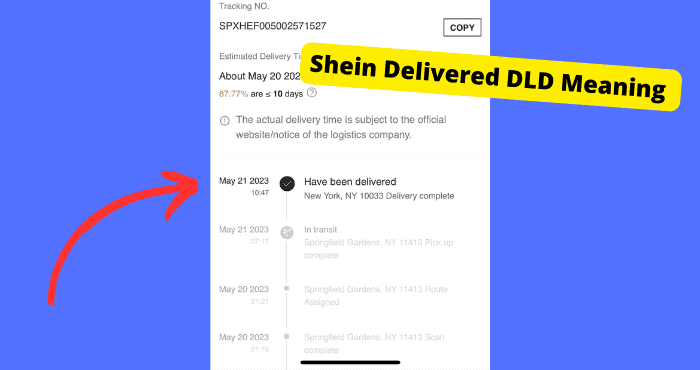 delivered dld shein meaning