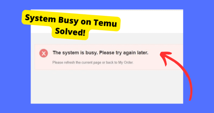 system busy on temu