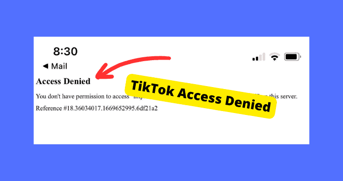 TikTok Access Denied? Here's The Fix